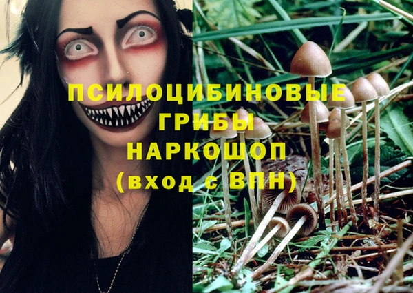каннабис Алексеевка